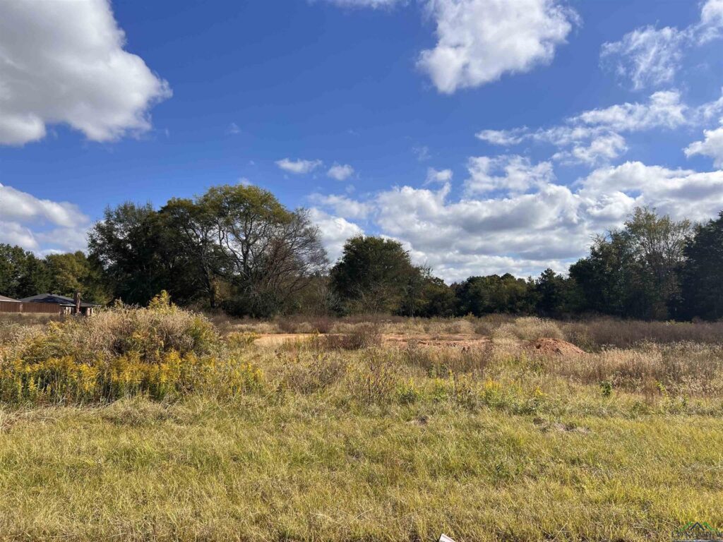 Lot 9,10,11 CR 2204 D, Tatum, TX 75691